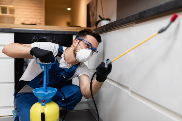 Pest Prevention Services in Jonesboro, LA