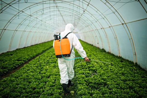 Best Best Pest Control Companies  in Jonesboro, LA