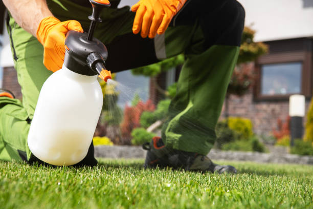 Insect Control in Jonesboro, LA